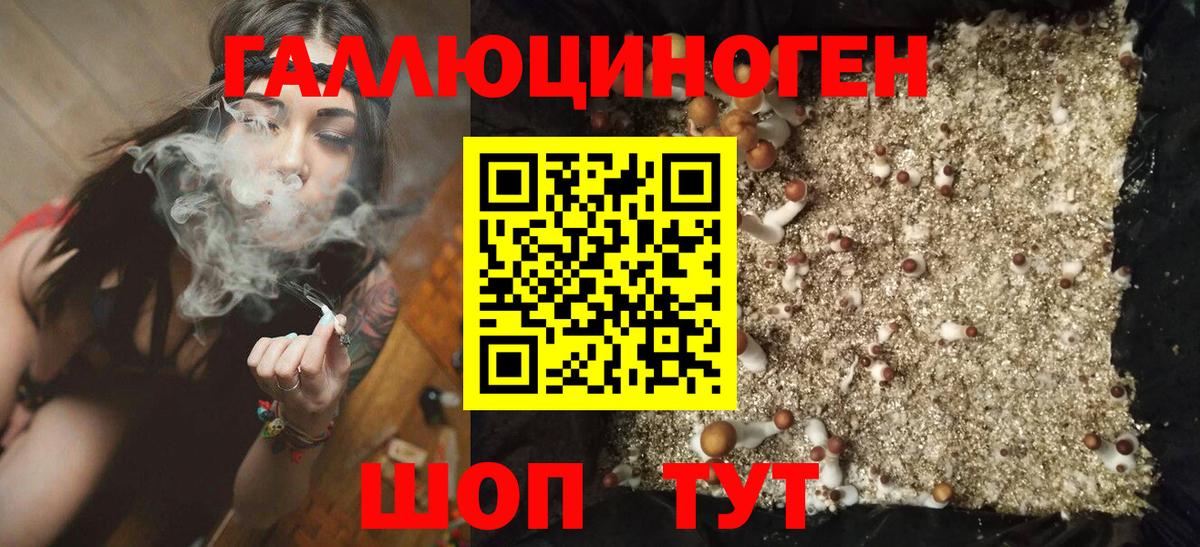 Галлюциногенные грибы прущие грибы Крымск