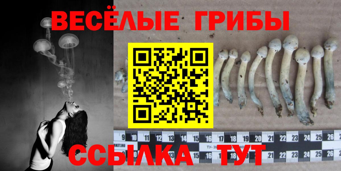 Галлюциногенные грибы Cubensis  Галлюциногенные грибы MAGIC MUSHROOMS  Крымск  даркнет сайт  Вход с VPN 